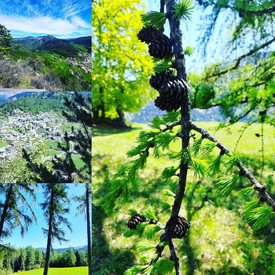 Hotel Trudnerhof Im Naturpark Trudnerhorn Trodena Eksteriør bilde